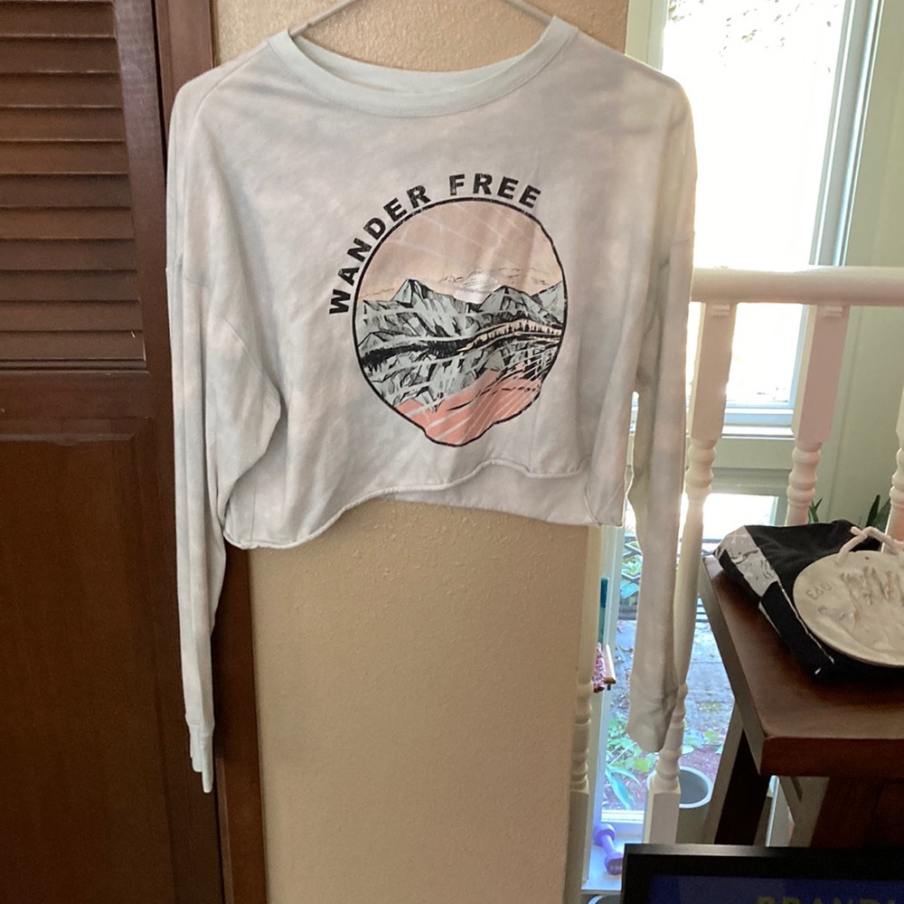 Flirtitude long sleeve cropped top